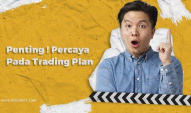 Penting ! Percaya Pada Trading Plan